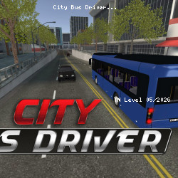 City Bus Driver