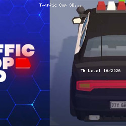 Traffic Cop 3D