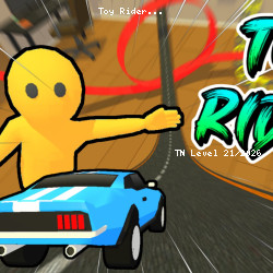 Toy Rider