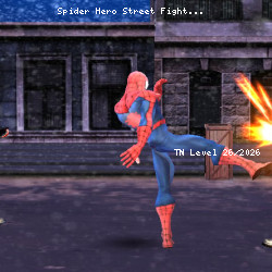 Spider Hero Street Fight