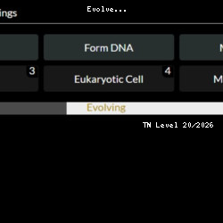 Evolve